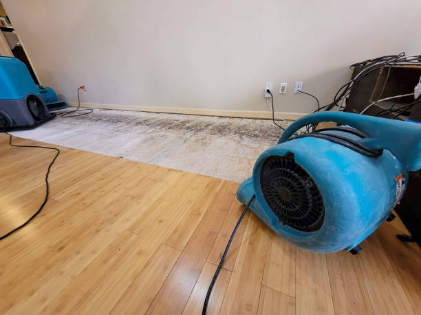 Reliable Basement Flood Cleanup contractor in Ellsworth, KS by Hirex Water Damage