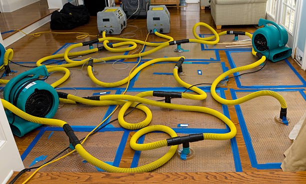 Professional Basement Flood Cleanup technician working in Ellsworth, KS